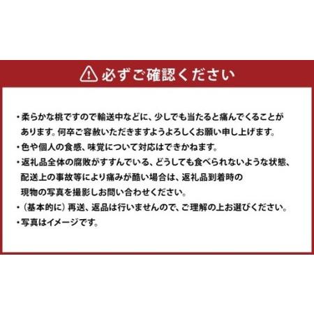 ふるさと納税 清水白桃 エース 3玉 約750g 【2026年7月上旬〜7月下旬発送予定】 ／ 白桃 桃 もも モモ 岡山県美咲町の画像