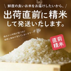 ふるさと納税 《令和7年産》【3か月定期便】《白米》あきたこまち なまはげ 米袋 米 5kg×3回 一等米 ギフト パッケージ 限定デザイン 紙袋 .. 秋田県潟上市_4