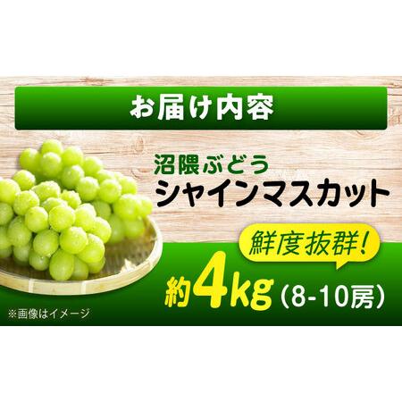 ふるさと納税 沼隈ぶどう シャインマスカット 約4kg [BAEV011] シャインマスカット 広島県福山市の画像
