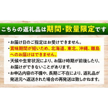ふるさと納税 沼隈ぶどう シャインマスカット 約4kg [BAEV011] シャインマスカット 広島県福山市の画像