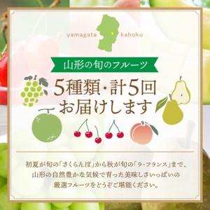 ふるさと納税 定期便 5回 山形県かほく 旬のフルーツ 定期便 令和8年産 フルーツ 山形県河北町_1