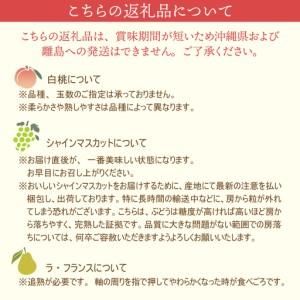 ふるさと納税 定期便 5回 山形県かほく 旬のフルーツ 定期便 令和8年産 フルーツ 山形県河北町_2