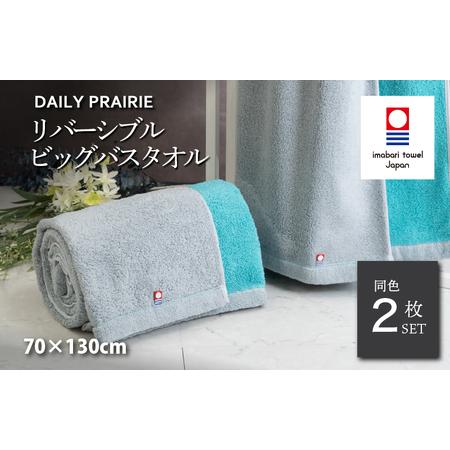 ふるさと納税 (今治タオルブランド認定)DAILY PRAIRIE リバーシブルビッグバスタオル 2枚セット (グレー/ターコイズ) [I002960BBT2GY/TB] 愛媛県今治市