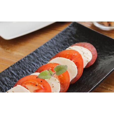 ふるさと納税 【瀬戸焼】 「舞陶館」 黒釉 長角皿2枚セット【松本陶器