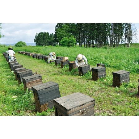 ふるさと納税 サクラはちみつ 1200g 秋田県横手市の画像