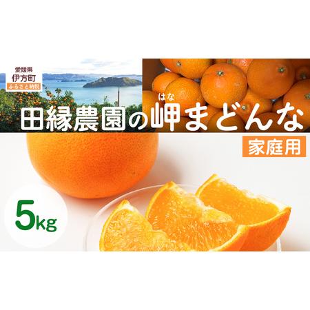 ふるさと納税 [先行予約][家庭用]岬まどんな 5kg ※離島への配送不可 (2026年11月25日より順次発送) IKTA033 愛媛県伊方町