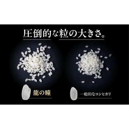 ふるさと納税 【2025年産米】（2026年9月発送）5kg×1 飛騨産・龍の瞳（いのちの壱）株式会社龍の瞳直送 米 令和7年産 精米【14-14【9】】り.. 岐阜県下呂市_1