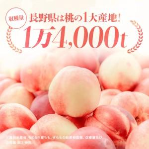 ふるさと納税 南信州産 秋桃 白桃 約3kg【2026年8月下旬〜発送】| 果物 くだもの フルーツ 柿 桃 もも 白桃 秋桃 ジューシー 長野県 信州 南信州.. 長野県飯田市の画像