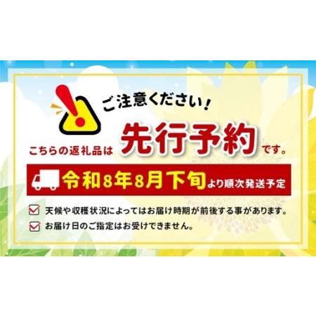 ふるさと納税 南信州産 秋桃 白桃 約3kg【2026年8月下旬〜発送】| 果物 くだもの フルーツ 柿 桃 もも 白桃 秋桃 ジューシー 長野県 信州 南信州.. 長野県飯田市の画像