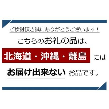 ふるさと納税 南信州産 秋桃 白桃 約3kg【2026年8月下旬〜発送】| 果物 くだもの フルーツ 柿 桃 もも 白桃 秋桃 ジューシー 長野県 信州 南信州.. 長野県飯田市の画像