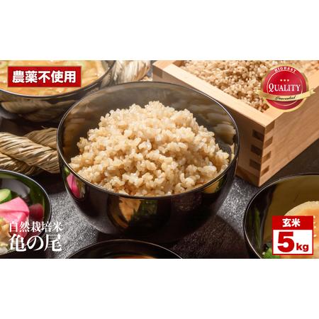 ふるさと納税 令和8年産 先行予約 自然栽培米 亀の尾 玄米 5kg くわのみ農園 | 米 自然栽培 農薬不使用 玄米 亀の尾 銘柄米 幻の米 こめ ご飯 ご.. 長野県飯田市