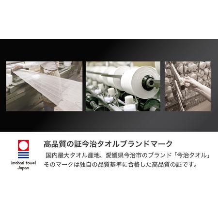 ふるさと納税 （今治タオルブランド認定）プリマクラッセ タオルケット 1枚 （ベージュ） [I003000KT1BE] 愛媛県今治市_2