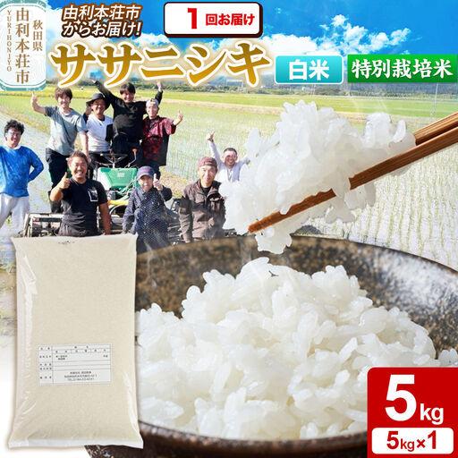 ふるさと納税 [白米]特別栽培米 ササニシキ 5kg(5kg×1袋)令和7年産 秋田県由利本荘市