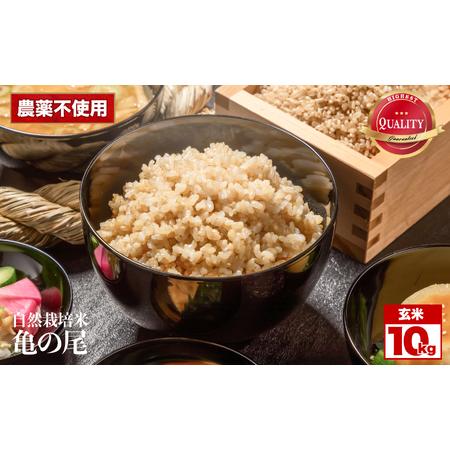 ふるさと納税 令和8年産 先行予約 自然栽培米 亀の尾 玄米 10kg | 米 自然栽培 農薬不使用 玄米 亀の尾 銘柄米 幻の米 こめ ご飯 ごはん 長野県 .. 長野県飯田市