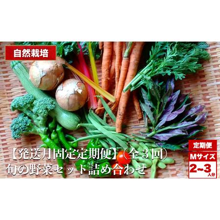 ふるさと納税 [定期便 3回][2026先行予約]自然栽培 旬の野菜セット 詰め合わせ Mサイズ 2〜3人分 くわのみ農園| 定期 野菜 セット 詰め合わ.. 長野県飯田市