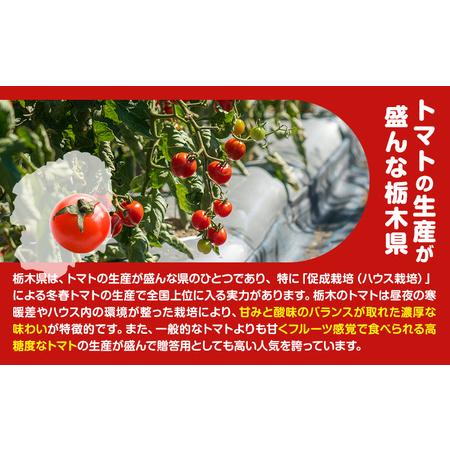 ふるさと納税 田村さん家のミニトマト約2kg【産】田村農園《11月上旬-7月下旬出荷》野菜新鮮リコピン 栃木県野木町_1