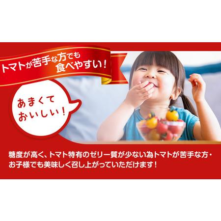 ふるさと納税 田村さん家のミニトマト約2kg【産】田村農園《11月上旬-7月下旬出荷》野菜新鮮リコピン 栃木県野木町_3