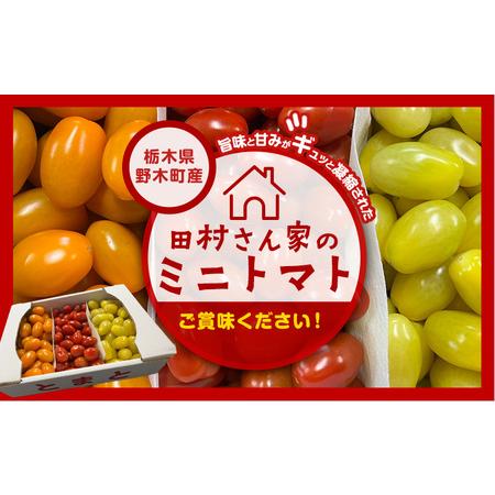ふるさと納税 田村さん家のミニトマト約2kg【産】田村農園《11月上旬-7月下旬出荷》野菜新鮮リコピン 栃木県野木町_4