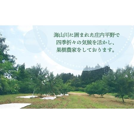 ふるさと納税 【令和8年産先行予約】 鶴岡市産 桃 (品種おまかせ)  約2kg (5〜8玉) くにちゃん農園 K-836 山形県鶴岡市の画像