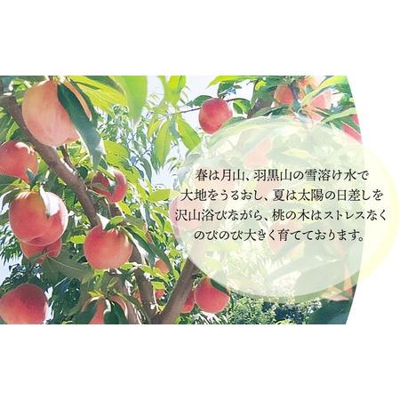 ふるさと納税 【令和8年産先行予約】 鶴岡市産 桃 (品種おまかせ)  約2kg (5〜8玉) くにちゃん農園 K-836 山形県鶴岡市の画像