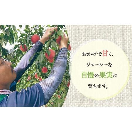 ふるさと納税 【令和8年産先行予約】 鶴岡市産 桃 (品種おまかせ)  約2kg (5〜8玉) くにちゃん農園 K-836 山形県鶴岡市の画像