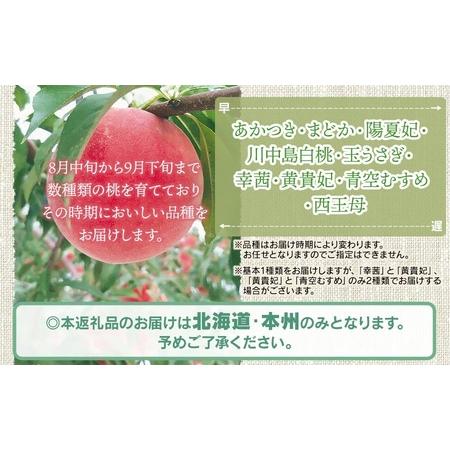 ふるさと納税 【令和8年産先行予約】 鶴岡市産 桃 (品種おまかせ)  約2kg (5〜8玉) くにちゃん農園 K-836 山形県鶴岡市の画像