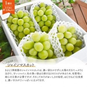 ふるさと納税 【発送月固定定期便】【2026年先行予約】シャインマスカット計2kg〜と梨2-3種上級品岡山産全2回【配送不可地域：離島】【4067489】 岡山県津山市の画像