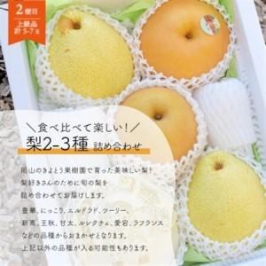 ふるさと納税 【発送月固定定期便】【2026年先行予約】シャインマスカット計2kg〜と梨2-3種上級品岡山産全2回【配送不可地域：離島】【4067489】 岡山県津山市の画像