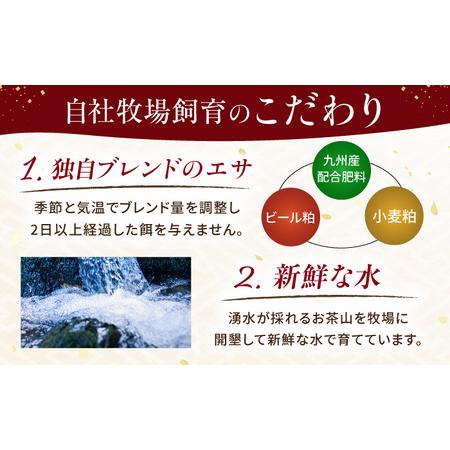 ふるさと納税 【全12回定期便】『純国産』熊本の味 赤身 馬刺し スライス セット 約350g 桜 コーネ 馬刺し [AYCN045] 熊本県合志市の画像