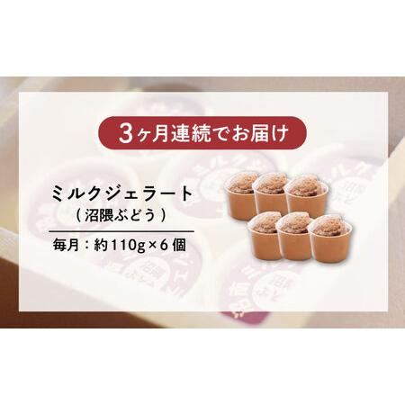 ふるさと納税 【全3回定期便】沼南ミルクジェラート 沼隈ぶどう ６個 [BAEC042]ジェラート 広島県福山市の画像