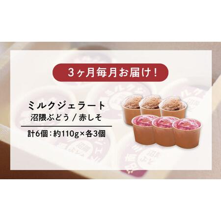 ふるさと納税 【全3回定期便】沼南ミルクジェラート 沼隈ぶどう＆赤しそ 各3個 [BAEC046]ジェラート 広島県福山市の画像