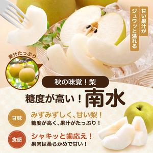 ふるさと納税 梨 南水 糖度14度以上 約3kg 【2026年9月中旬〜発送】 長野県飯田市_1