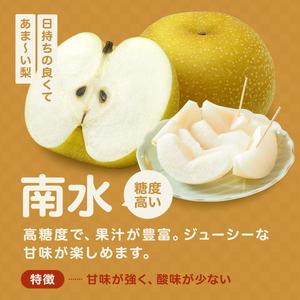 ふるさと納税 梨 南水 糖度14度以上 約3kg 【2026年9月中旬〜発送】 長野県飯田市_3