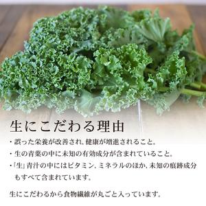 ふるさと納税 遠藤青汁と豆乳青汁 【生】 冷凍 計5.6kg(100g×56袋) 高知県南国市の画像