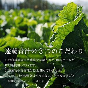 ふるさと納税 【3回定期便】遠藤青汁1箱(100g×28袋) 国産 ケール100% 冷凍生 高知県南国市の画像