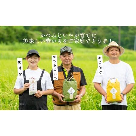 ふるさと納税 紫芋 農家直送！とろける濃密紫いも5kg【ADATARAふぁーむ】 福島県二本松市の画像