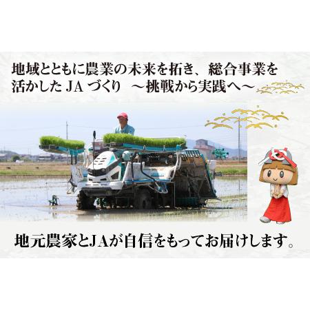 ふるさと納税 【令和７年産 毎月定期配送・計12回】 BG無洗米みずかがみ5kg×12回 [P-00403] / 無洗米 滋賀県多賀町 |  | 03