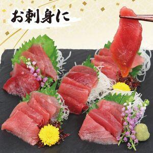 ふるさと納税 天然「めばちマグロ」！天然目鉢マグロ切り落とし 1kg 高知県室戸市_2