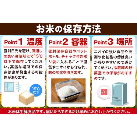 ふるさと納税 【令和7年産・白米】宮城県栗原市産 だて正夢 15kg (5kg×3袋) 宮城県栗原市