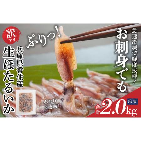 ふるさと納税 [訳あり] ホタルイカ ほたるいか 2kg(250g×8パック)いか イカ 07-135 兵庫県香美町