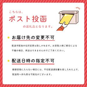 ふるさと納税 しし座流星群映像集DVD 〜星降る夜1〜 DVD 星 星空 夜空 流星群 壮大 美しい 輝き ロマンティック 徳島県海陽町_1