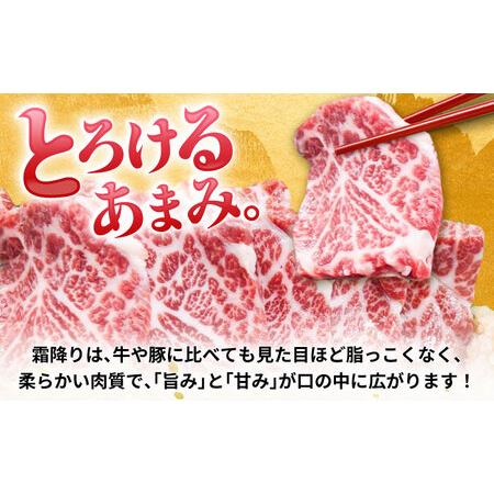 ふるさと納税 【全6回定期便】『純国産』熊本の味「桜」霜降り馬刺し「特選」 計約1.8kg（約300g×6回） 霜降り  馬刺し[AYCN015] 熊本県合志市の画像