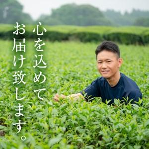 ふるさと納税 山口園の一番人気の茶葉！小さいお茶屋の煎茶セット(煎茶100g×14本・合計1.4kg) 飲料 お茶 緑茶 【お茶の山口園】B-108 鹿児島県曽於市 