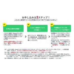 ふるさと納税 阿智村産CO2フリーでんき 70,000 円コース（注：お申込み前に申込条件を必ずご確認ください） 長野県阿智村の画像