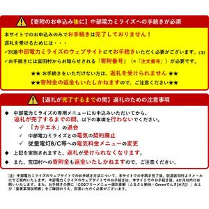 ふるさと納税 宮田村産CO2フリーでんき 70,000 円コース（注：お申込み前に申込条件を必ずご確認ください） 長野県宮田村の画像