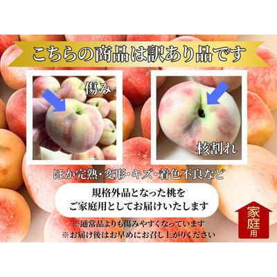 ふるさと納税 【訳あり】山梨県産旬の桃 約3kg（8〜12玉）ご家庭用【2026年発送】（LKS）A08-851 桃 フルーツ 山梨県甲州市の画像