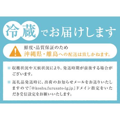 ふるさと納税 【訳あり】山梨県産旬の桃 約3kg（8〜12玉）ご家庭用【2026年発送】（LKS）A08-851 桃 フルーツ 山梨県甲州市の画像