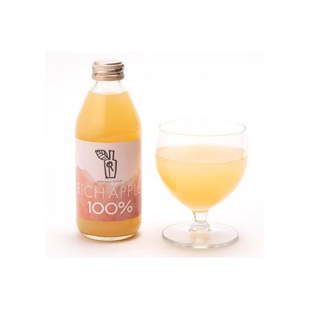 ふるさと納税 【定期便3ヶ月】RICH APPLE りんごジュース12本セット（250ml×12本×3回）【飲料類 果汁飲料】 青森県弘前市_2