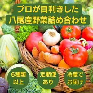 ふるさと納税 A342 季節の厳選野菜詰め合わせセット(お届け回数:１回)【やさい セット 詰合せ 6種類 11品 野菜セット 季節のやさい 八尾産 大阪 .. 大阪府八尾市の画像