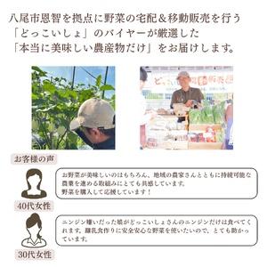 ふるさと納税 A342 季節の厳選野菜詰め合わせセット(お届け回数:１回)【やさい セット 詰合せ 6種類 11品 野菜セット 季節のやさい 八尾産 大阪 .. 大阪府八尾市の画像
